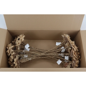 Stick Dahlia Sunshine Naturel