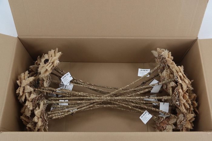 <h4>Stick Dahlia Sunshine Naturel</h4>