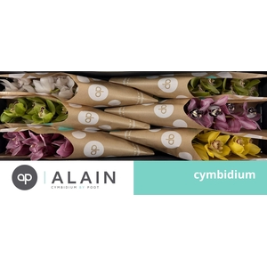 PAPIERHOES GEMENGD 60cm x 6