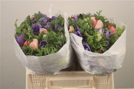 <h4>Anemone Levante Mixed In Bunch</h4>