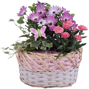 Spring Flower Arr. Outdoor Willow Basket Oval Threetone Ø25cm3PP