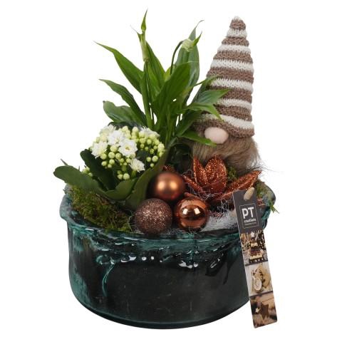 <h4>PTCHB9849 Arrangementen Kerst</h4>