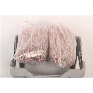 Pineneedles Champagne Bag