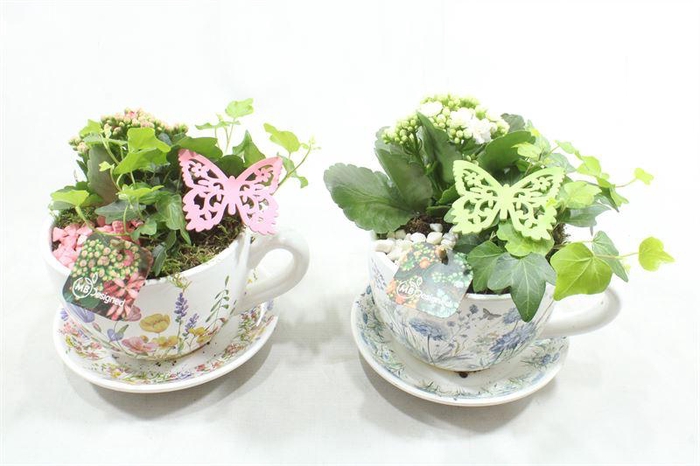 <h4>JA538 XL KOP/SCHOTEL FLEURIG</h4>