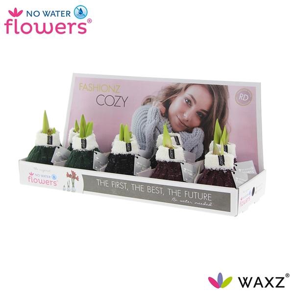 <h4>Hipp Waxz Fashionz Cozy Wooly</h4>