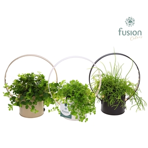 Planter zink met verlichting met Groene planten