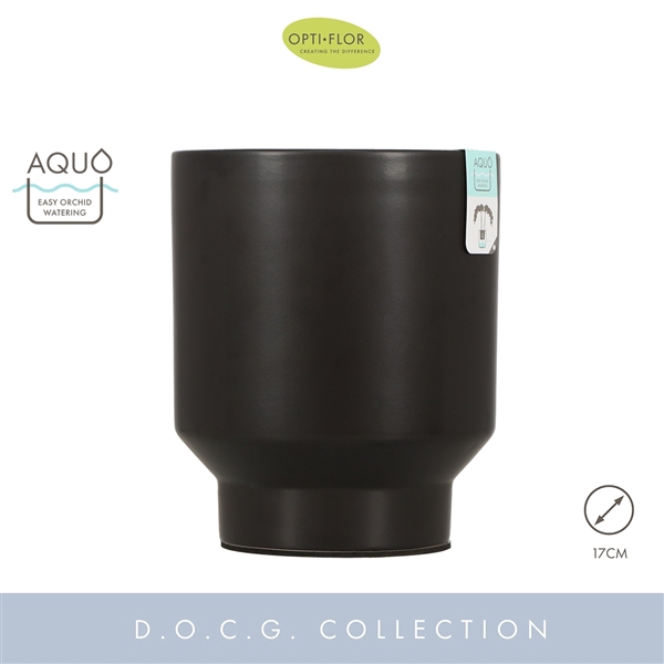 <h4>Emilia Dark Brown 17 cm Aquo</h4>