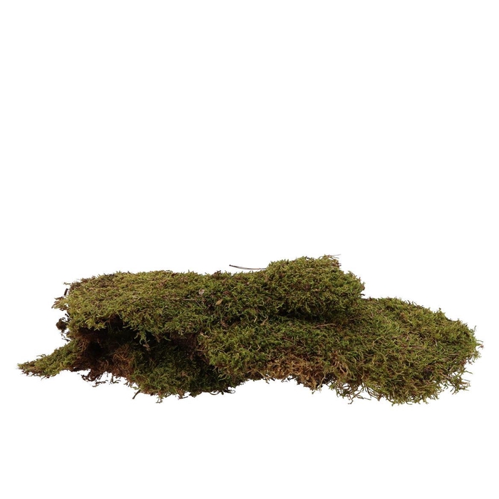 <h4>Mos Iceland Lappen Naturel 1 Kg</h4>
