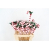 Stick Candy Cane Red/White