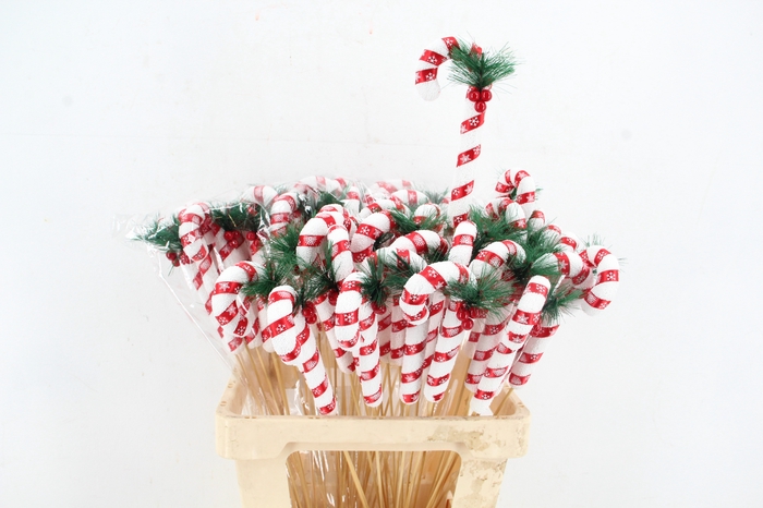 <h4>Stick Candy Cane Red/White</h4>