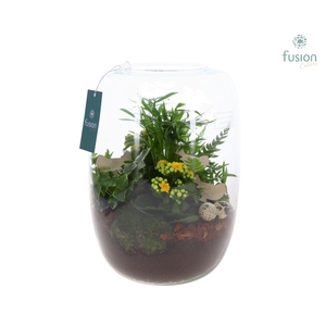 Green Bottle Isabella XLarge Pasen met Arrangement