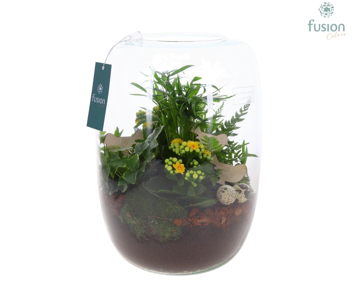 <h4>Green Bottle Isabella XLarge Pasen met Arrangement</h4>