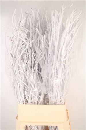 <h4>Berk Snow Per Bunch 120cm</h4>