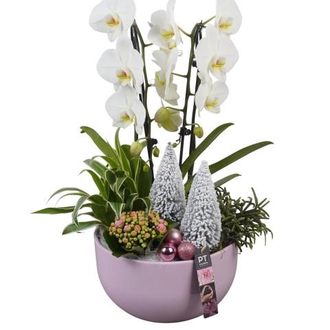 <h4>PTCHP3518 Arrangementen Kerst</h4>