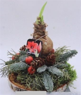 K578 LED+ 1 AMAR OP SCHIJF