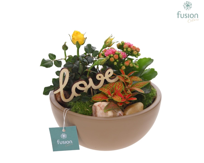 <h4>Schaal keramiek Moon Medium beige Love met arrangement</h4>