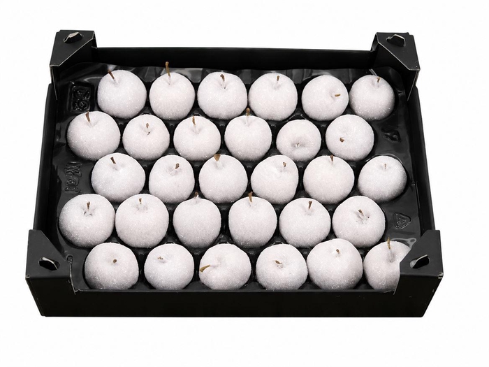 <h4>Waxappel Gl Ivoor</h4>