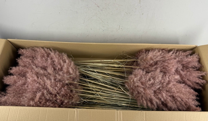 <h4>DF Pampas 115cm Brown</h4>