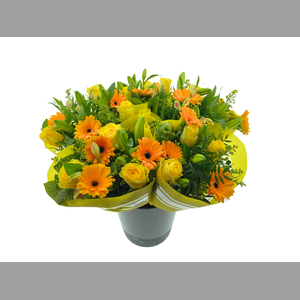 BQ 13 stems Yellow
