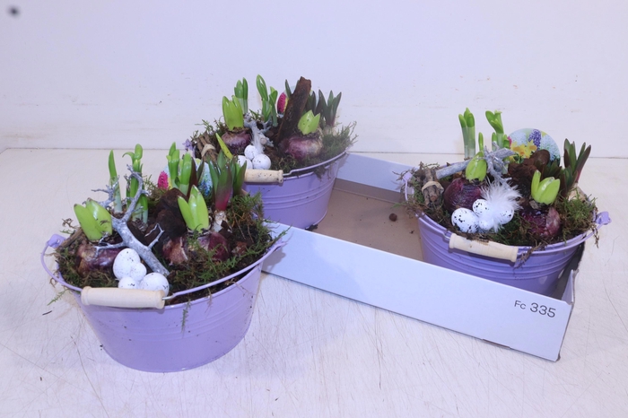 <h4>ARR BOL KNOLGEWAS</h4>