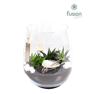 Glas Alzada groot met Arrangement minituin