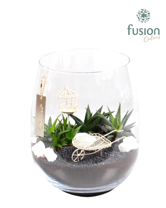 <h4>Glas Alzada groot met Arrangement minituin</h4>