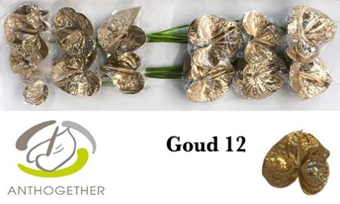 Gladiolus grootbloemig 'Picture'