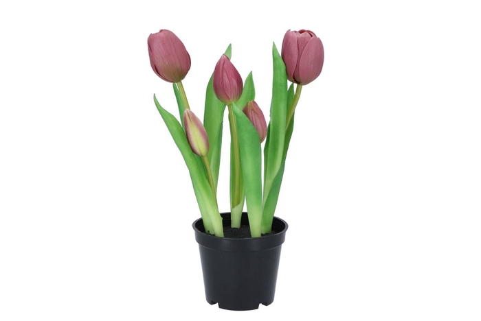 Silk Tulip In Pot 5x Mauve 26cm