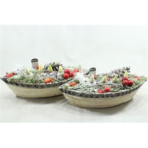 1150 XXL TITANIC HYA