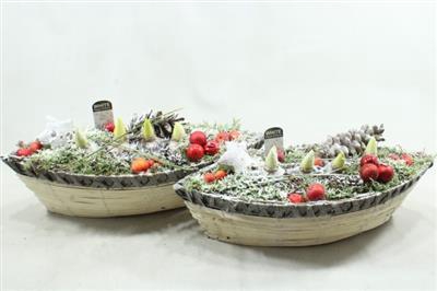 <h4>1150 XXL TITANIC HYA</h4>