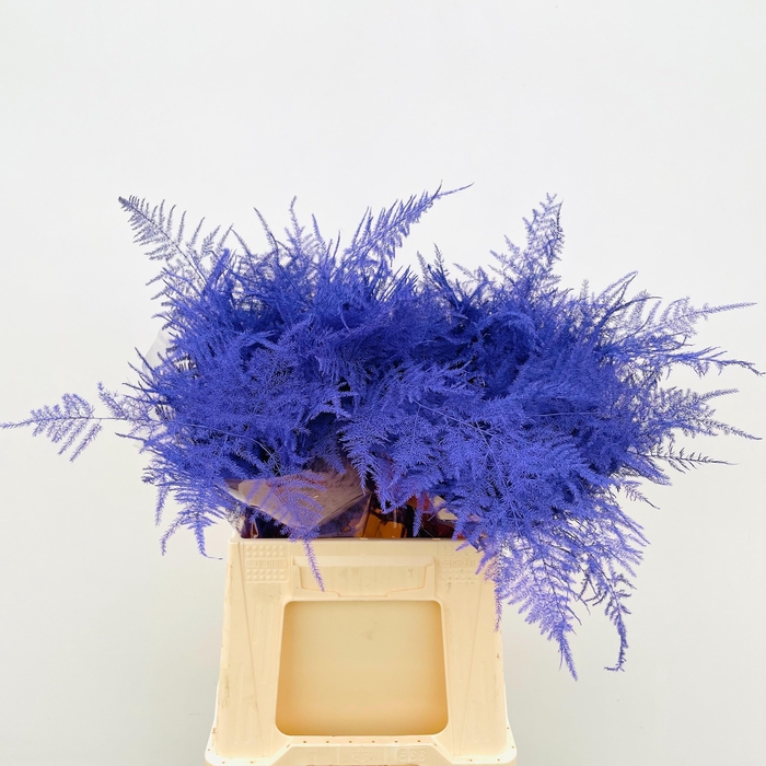 <h4>ASP OV KLB H%</h4>