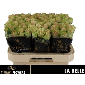 R GR LA BELLE