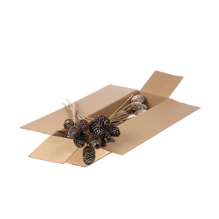 <h4>Rai Cone O/s 10pc Sb Nwt</h4>