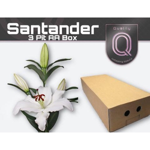 LI OR SANTANDER AA doos 3pit