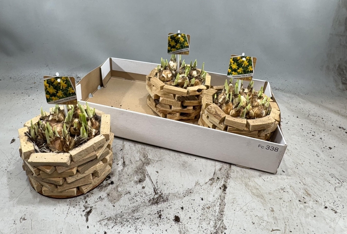 <h4>ARR N TETE A TETE</h4>