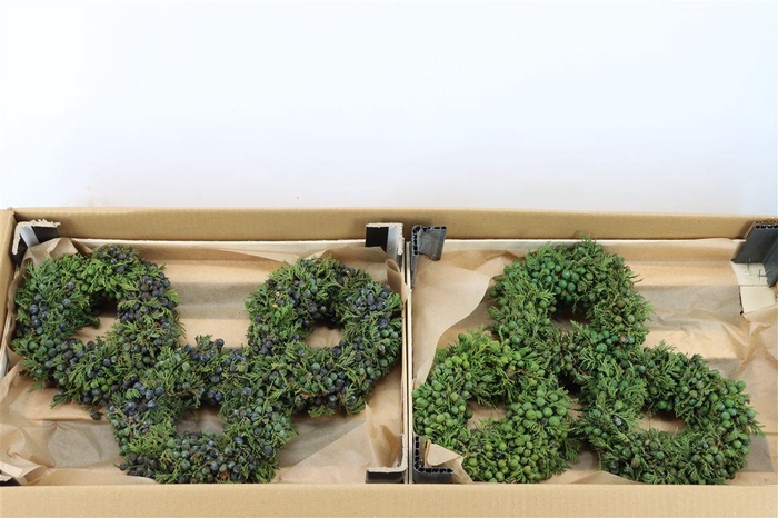 <h4>Wr Sierfruit Juniperus Green 20cm</h4>