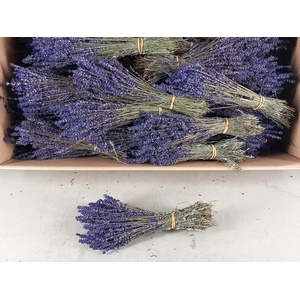 Df Lavendel Bs 70g 35/40cm