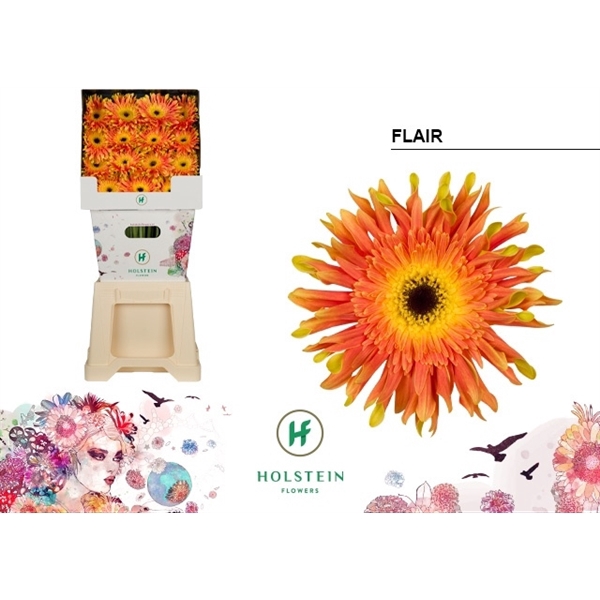 <h4>Ge Gr Pasta Flair Diamond Holstein</h4>