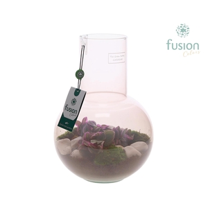 Green Bottle Suzanne Medium Smoky Pink met Tradescantia