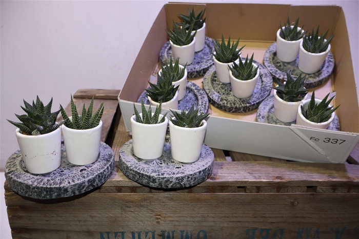 arr8 Hawo Gem In Stenen Arrangement