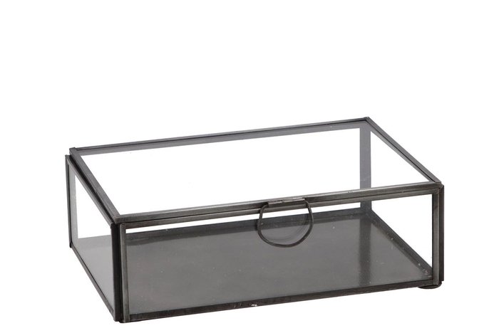 <h4>Amber Box Glas Black 18x12x6cm P/1</h4>