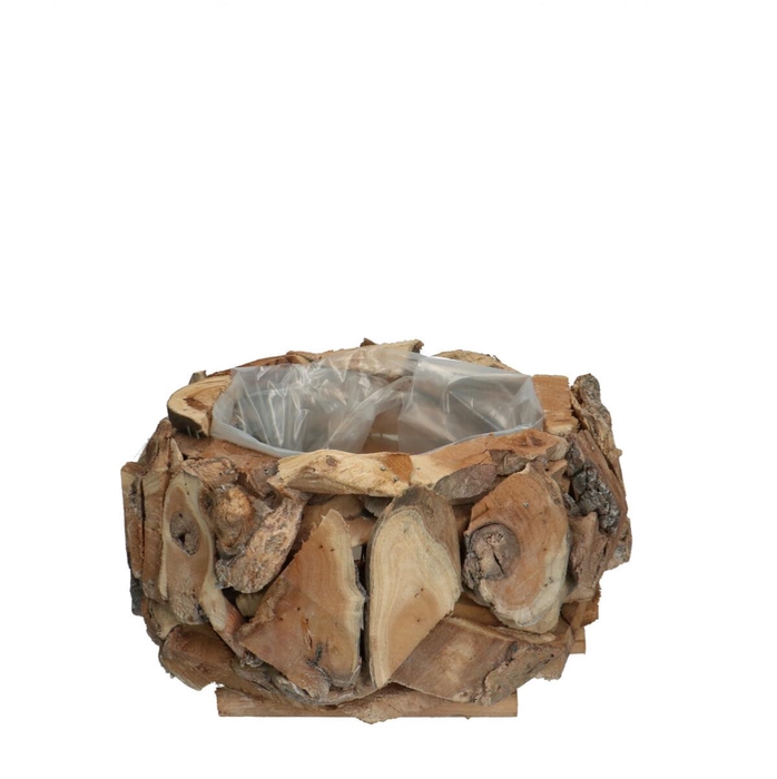 <h4>Wood Planter driftwood d25*12cm</h4>