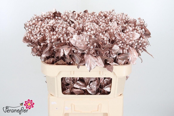 <h4>HYP OV KLB H%</h4>