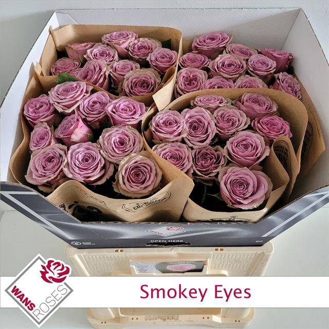 <h4>Rosa Garden Smokey Eyes</h4>