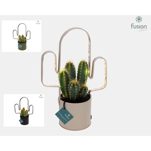 LED planter zink Cactusvorm met Cactus