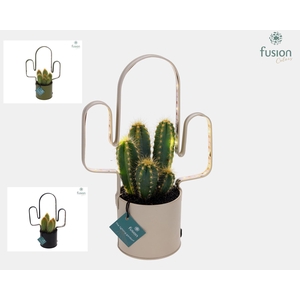 LED planter zink Cactusvorm met Cactus