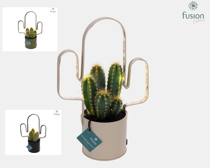 <h4>LED planter zink Cactusvorm met Cactus</h4>
