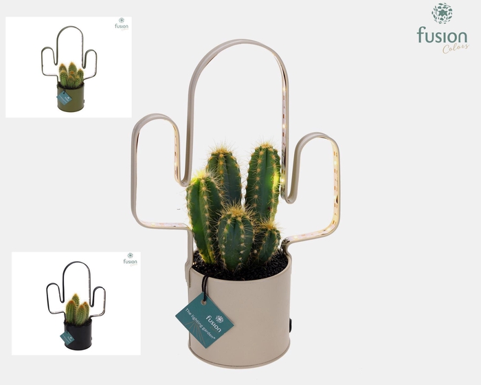 <h4>LED planter zink Cactusvorm met Cactus</h4>