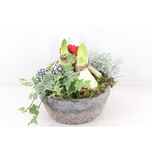 arr4 Amaryllis VL - Keramiek schaal