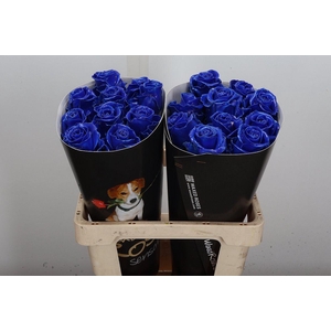 Wax-Rozen Wax Blauw w5